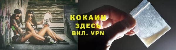 мяу мяу мука Бородино