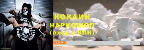 мяу мяу мука Бородино